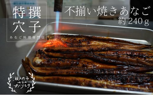 ĂȂ240g [sԂTCY] [5735-0276]R˓s26000ECYȂ