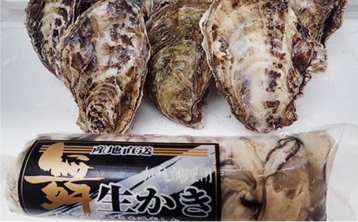 y 2026N s\ yނg 500g kty 10 Zbg R⏤X ˓CpY  JL  V[t[h  [5735-0681]R˓s19000ECYL