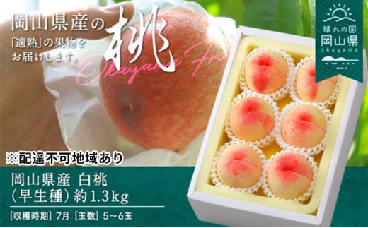  2026N s\   1.3kg 5`6   RY Y t[c ʕ Mtg  [5735-0693]R˓s19000ʕEt[cE