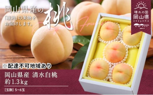  2026N s\  1.3kg 5`6   RY Y t[c ʕ Mtg [5735-0694]R˓s24000ʕEt[cE