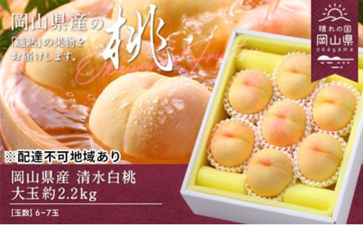  2026N s\  2.2kg  6`7   RY Y t[c ʕ Mtg  [5735-0695]R˓s41000ʕEt[cE