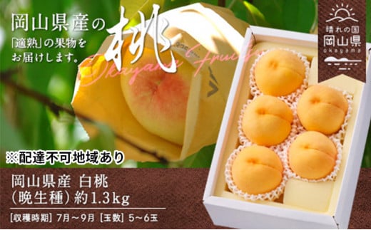  2026N s\  Ӑ 1.3kg 5`6   RY Y t[c ʕ Mtg   [5735-0702]R˓s19000ʕEt[cE