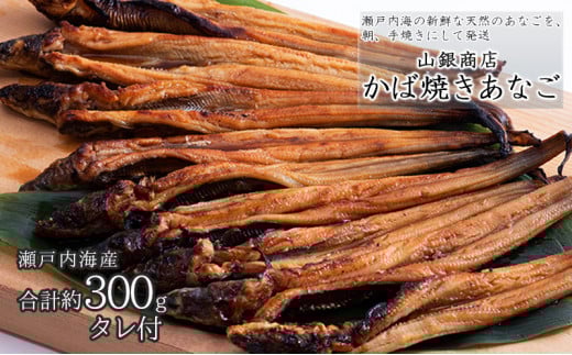 Ȃ s\ R⏤X ΏĂ Ȃ (v300g)  Yn q [5735-0706]R˓s17000ECYȂ