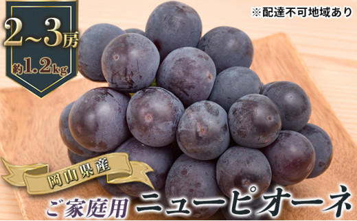 Ԃǂ 2026N s\ ƒp j[ sI[l 2`3[ v1.2kg uhE   RY Y t[c ʕ Mtg [5735-0774]R˓s17000ʕEt[c}XJbgEԂǂ