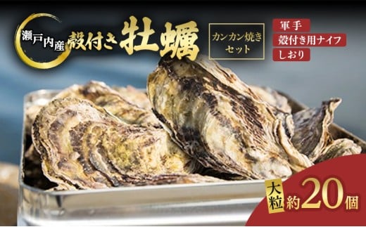 y 2026N s\ 񂩂 i kt ԉy 20j R⏤X ˓CpY 嗱 y   JL 񂩂Ă R iCtt Mp  [5735-0840]R˓