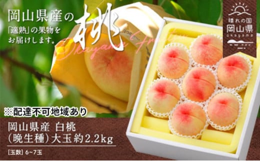  2026N s\  Ӑ  2.2kg 6`7   RY Y t[c ʕ Mtg   [5735-0883]R˓s36000ʕEt[cE