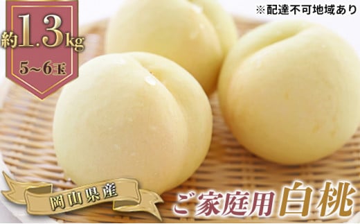  2026N s\ ƒp R   5`6 v1.3kg   RY Y t[c ʕ Mtg [5735-0885]R˓s18000ʕEt[cE