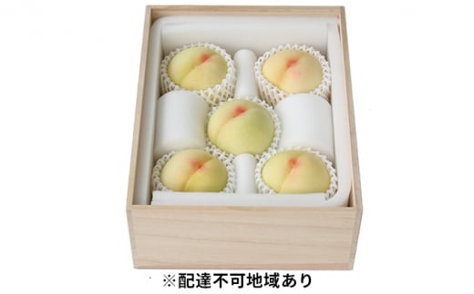  2026N s\ RY  1.5kg 5 ˔  R Y t[c ʕ Mtg Ύ    [5735-0968]R˓s80000ʕEt[cE