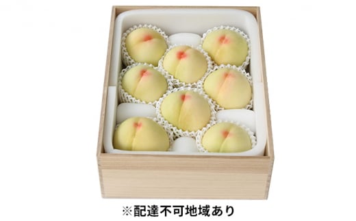  2026N s\ RY  2.0kg 7`8 ˔  R Y t[c ʕ Mtg Ύ  2kg   [5735-0969]R˓s110000ʕEt[cE