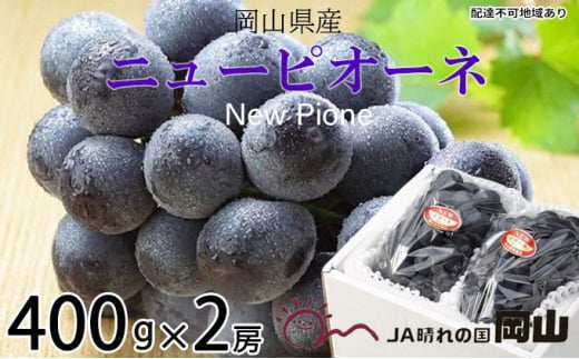 Ԃǂ 2026N s\ j[ sI[l 400g×2[ 6{`7{ uhE   RY Y t[c ʕ Mtg ʕ Ȃ fU[g H  Yn  [5735-1248]R