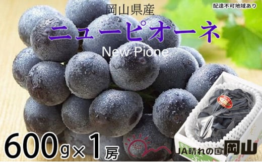 Ԃǂ 2026N s\ j[ sI[l 600g×1[ 6{`7{ uhE   RY Y t[c ʕ Mtg ʕ Ȃ fU[g H  Yn  [5735-1250]R
