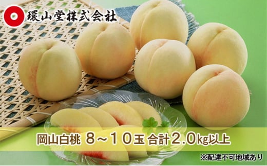  2026N s\ R  8`10 v2.0kgȏ   RY Y t[c ʕ Mtg R  ˓ L܍͔| 炪 i Â  L Ƃ낯 ʏ` 蕨  [5735-1422]