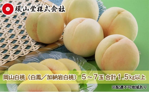 桃 2026年 先行予約 岡山 白桃(品種:白鳳/加納岩白桃)5〜7玉 合計1.5kg以上 もも モモ 岡山県産 国産 フルーツ 果物 ギフト 環山堂 直射日光 有袋栽培 上品 甘み 香り 豊か とろける 果汁 贈