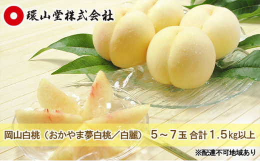 桃 2026年 先行予約 岡山 白桃(品種:おかやま夢白桃/白麗)5〜7玉 合計1.5kg以上 もも モモ 岡山県産 国産 フルーツ 果物 ギフト 環山堂 直射日光 有袋栽培 上品 甘み 香り 豊か とろける 果