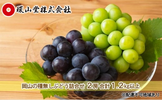 ぶどう 2026年 先行予約 種無し ぶどう 詰合せ 2房 合計1.2kg以上 マスカット ブドウ 葡萄 岡山県産 国産 フルーツ 果物 ギフト 環山堂 大粒 甘い 甘酸っぱさ 人気 香り 皮ごと 高糖度 贈り物 [