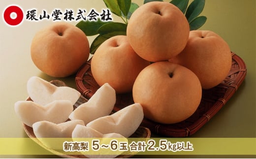  2026N s\ V  5`6 v2.5kgȏ Ȃ iV RY Y t[c ʕ Mtg R 傫 `  l ݂݂ i  VV Â [5735-1433]R