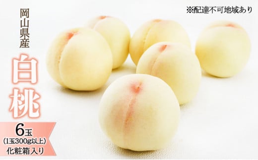  2026N s\  6ʁi1300gȏjϔ   RY Y t[c ʕ Mtg ʂ  _炩 ʏ` ߍׂ₩ b mb M 蕨  [5735-1442]R