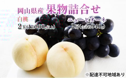  Ԃǂ 2026N s\ ʕl  2ʁi1200gȏj j[ sI[l 2[iv940gjϔ RY Y t[c ʕ Mtg  蕨 Zbg  [5735-1450]R˓s260