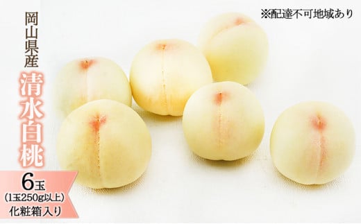  2026N s\   6 i1250gȏjϔ   RY Y t[c ʕ Mtg ō i 蕨  [5735-1452]R˓s36000ʕEt[cE