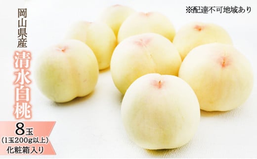  2026N s\   8ʁi1200gȏjϔ   RY Y t[c ʕ Mtg ō F _炩 ʏ` Ƃ낯  蕨  [5735-1454]R˓s