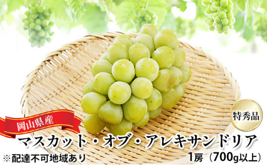 Ԃǂ 2026N s\ }XJbgEIuEALThA Gi 1[i1[700gȏjϔ  RY Y t[c ʕ Mtg ʎ i   [5735-1455]R˓s26000