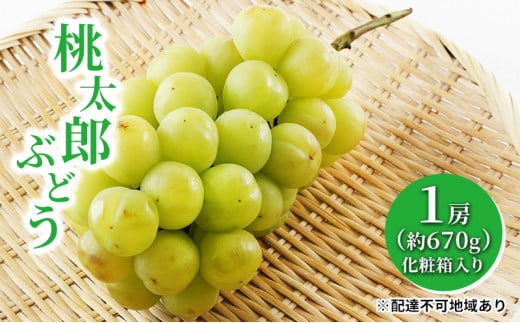 Ԃǂ 2026N s\ Y Ԃǂ 1[i1[670gjϔ }XJbg uhE   RY Y t[c ʕ Mtg 嗱 ʎ 햳 ̂܂  _ Â lC  [5735-1457]