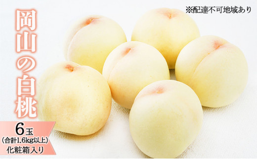  2026N s\ R   6ʁiv1.6kgȏjϔ   RY Y t[c ʕ Mtg fU[g iȊÂ Ƃ낯 Yn  [5735-1466]R˓s38000ʕE