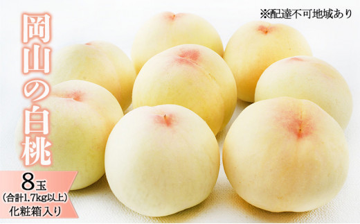  2026N s\ R   8ʁiv1.7kgȏjϔ   RY Y t[c ʕ Mtg fU[g iȊÂ Ƃ낯 Yn  [5735-1467]R˓s32000ʕE