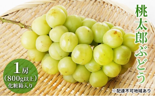 Ԃǂ 2026N s\ Y Ԃǂ 1[i800gȏjϔ uhE   RY Y t[c ʕ Mtg 嗱 Ȃ ʏ`Ղ _ Â oX  [5735-1470]R˓s3