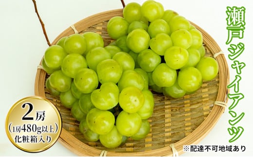 Ԃǂ 2026N s\  WCAc 2[i1[480gȏj1kg ϔ uhE   RY Y t[c ʕ Mtg  炲 x _T Î_ς  [5735-1473]R