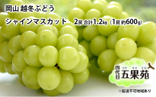 z~ Ԃǂ VC }XJbg 2[ v1.2kgi1[ 600gjRY l ܉ʉ [5735-1487]R˓s31000ʕEt[c}XJbgEԂǂ