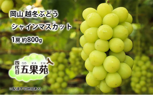 z~ Ԃǂ VC }XJbg 1[ 800g RY l ܉ʉ [5735-1488]R˓s24000ʕEt[c}XJbgEԂǂ