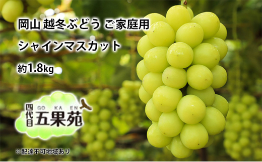 z~ Ԃǂ ƒp VC}XJbg 1.8kg   RY l ܉ʉ [5735-1494]R˓s49000ʕEt[c}XJbgEԂǂ