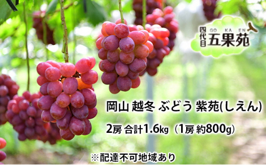 z~ Ԃǂ  ij2[ v1.6kgi1[ 800gj RY l ܉ʉ [5735-1498]R˓s47000ʕEt[c}XJbgEԂǂ