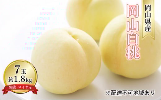  2026N s\ R  7 1.8kg FCi1 260gȏj   RY Y t[c ʕ Mtg fU[g R̓ [5735-1591]R˓s31000ʕEt[c