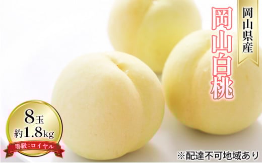  2026N s\ R  8 1.8kg FCi1 220gȏj   RY Y t[c ʕ Mtg fU[g R̓ [5735-1592]R˓s26000ʕEt[c