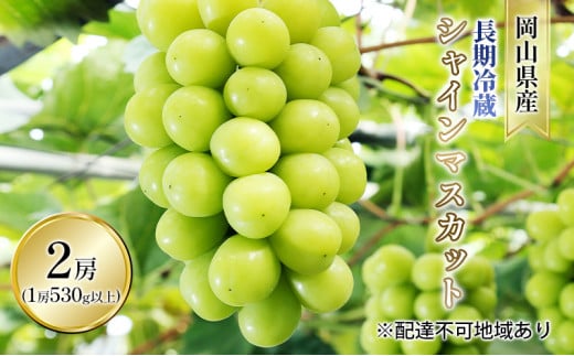 Ԃǂ 2025N s\ ① VC }XJbg 2[i1[ 530gȏj uhE   RY Y t[c ʕ Mtg[5735-1598]R˓s24000ʕEt[c}XJbgE
