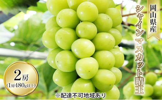 Ԃǂ 2026N s\ VC }XJbg  2[i1[ 480gȏ nEX͔|j uhE   RY Y t[c ʕ Mtg R̕ [5735-1599]R˓s26000ʕEt