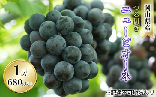 Ԃǂ 2026N s\ t j[ sI[l 1[ 680gȏinEX͔|j uhE   RY Y t[c ʕ Mtg R̕ [5735-1608]R˓s16000ʕEt[c}X