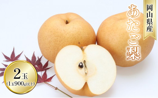  2025N s\  2ʓi1 900gȏj Ȃ iV  RY Y t[c ʕ Mtg[5735-1629]R˓s13000ʕEt[c񂲁E