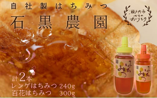 Q ݂͂×1{ 240g S ݂͂×1{ 300g ̃Zbg R ˓sY ΍_ [5735-1639]R˓s11000ZbgE؁EHHiWE݂͂