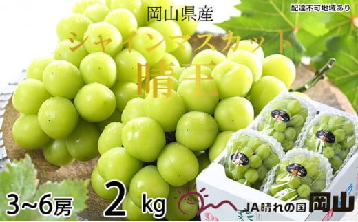 Ԃǂ 2025N s\ VC }XJbg  3[`6[ 2kg 8{`11{ uhE   RY Y t[c ʕ Mtg R̕ fU[g H  [5735-1660]R˓