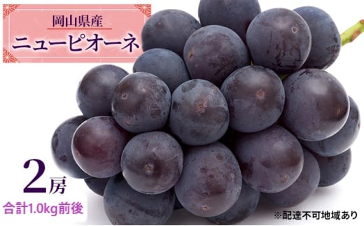 Ԃǂ 2026N s\ j[ sI[l 2[ v1.0kgO uhE   RY Y t[c ʕ Mtg ʕ   [5735-1888]R˓s29000ʕEt[c}XJbgEԂǂ