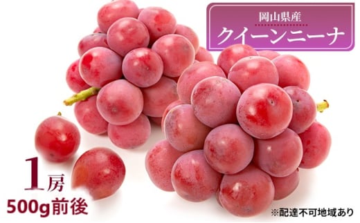 Ԃǂ 2026N s\ NC[j[i 1[ 500gO uhE   RY Y t[c ʕ Mtg [5735-1890]R˓s17000ʕEt[c}XJbgEԂǂ