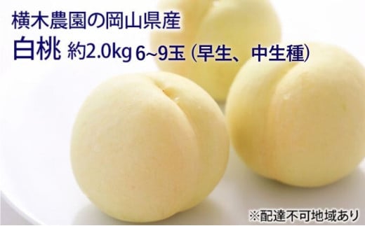 桃 2026年 先行予約 岡山の 白桃 (早生、中生種)約2.0kg 6〜9玉 もも モモ 岡山県産 国産 フルーツ 果物 ギフト 横木農園 デザート 太陽 化粧箱 果肉 柔らかく果汁 厳選 美味しい 贈答品  [573