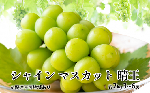 ぶどう 2025年 先行予約 シャイン マスカット 晴王 約2kg 3〜6房 種無し ブドウ 葡萄  岡山県産 国産 フルーツ 果物 ギフト デザート 果実 美しい 大粒 高糖度 皮ごと パリッ 弾力 食感  [5735-188