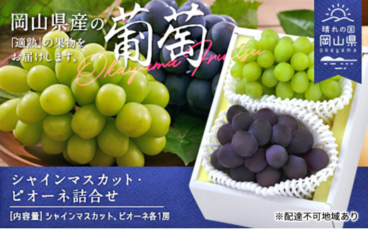 Ԃǂ 2026N s\ ʕ l VC }XJbg 1[ j[ sI[l 1[ v1.0kg uhE  RY Y t[c ʕ Mtg [5735-1900]R˓s24000ʕEt[c