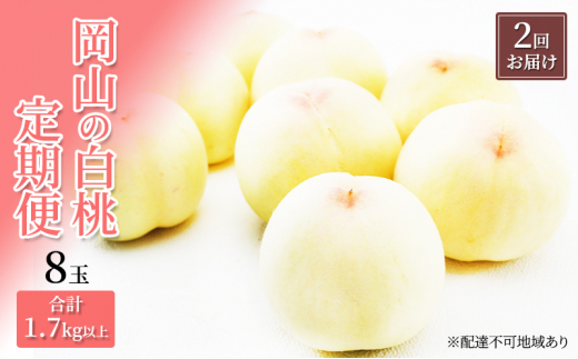   2026N s\ R   8 v1.7kgȏ×2 ͂ ϔ   RY Y t[c ʕ Mtg  [5735-1905]R˓s64000ʕEt[cE