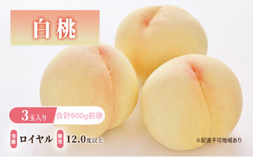  2026N s\  3ʓ : C x12.0xȏ v600gO   RY Y t[c ʕ Mtg fU[g ʎ  炪 _炩F  ` x 