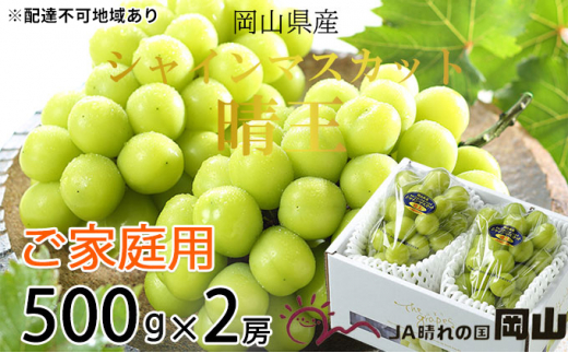 Ԃǂ 2025N s\ ƒp VC }XJbg  500g×2[ uhE   RY Y t[c ʕ [5735-1787]R˓s16000ʕEt[c}XJbgEԂǂ